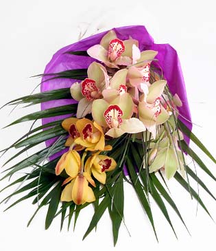  Konya hediye iek yolla  1 adet dal orkide buket halinde sunulmakta