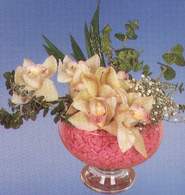  Konya online iek gnderme sipari  Dal orkide kalite bir hediye