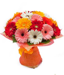 Renkli gerbera buketi  Konya internetten çiçek satışı 