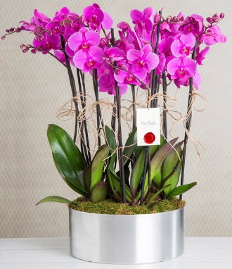 11 dall mor orkide metal vazoda  Konya iek online iek siparii 