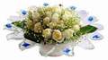 cam günes ve dolunay bembeyaz  Konya yurtiçi ve yurtdışı çiçek siparişi 