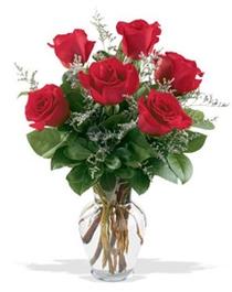  Konya çiçek online çiçek siparişi  7 adet kirmizi gül cam yada mika vazoda sevenlere