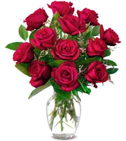  Konya çiçek , çiçekçi , çiçekçilik  1 düzine kirmizi gül sevenlere özel vazo gülleri