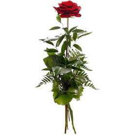  Konya 14 şubat sevgililer günü çiçek  1 adet kırmızı gülden buket