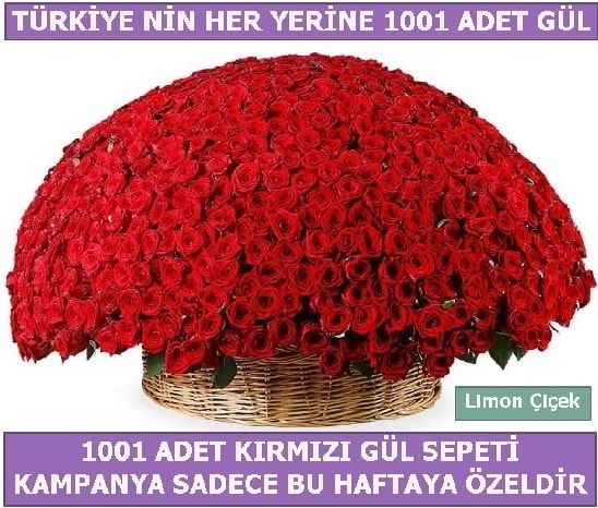 1001 Adet kırmızı gül Bu haftaya özel  Konya hediye sevgilime hediye çiçek 
