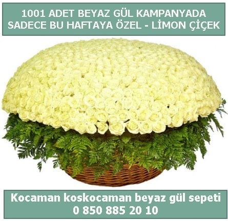 1001 adet beyaz gül sepeti özel kampanyada  Konya çiçek online çiçek siparişi 
